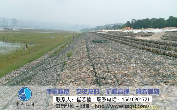 生態格網 生態格網