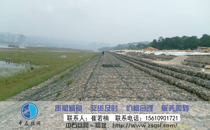 生態格網 生態格網